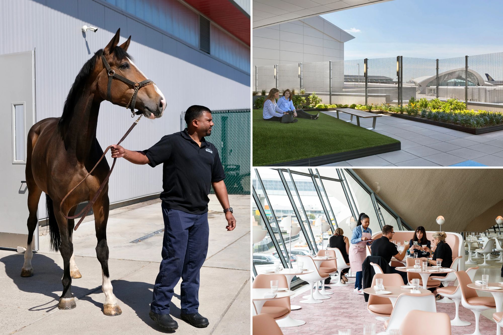 Exclusive | New York's most hated airport is not as horrible as you believe: these JFK secret places are a total trip