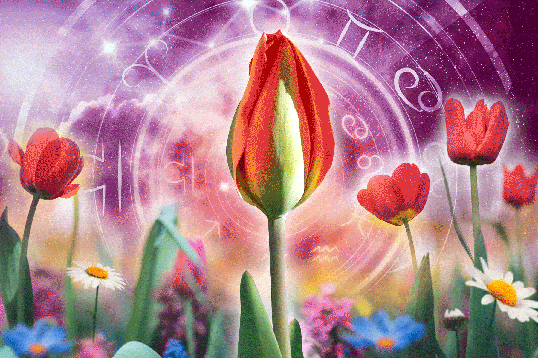 What is in the stars of June 2025? Summer Solstice comes to us, and good luck changes signs
